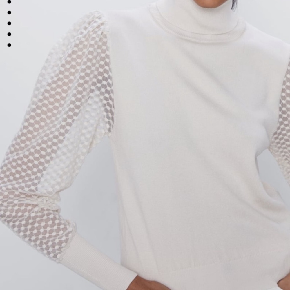 Zara Sweater with Contrasting Sleeves